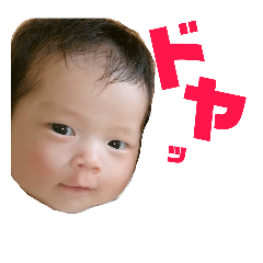 [LINEスタンプ] ちはやん
