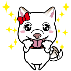 [LINEスタンプ] 柴犬 くう