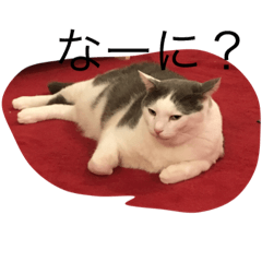 [LINEスタンプ] うし猫ちゃん。