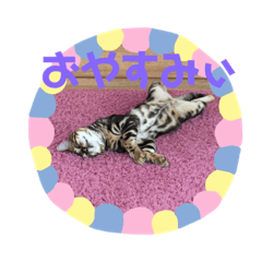 [LINEスタンプ] 猫兄弟デニーロ＆アンジー ❷