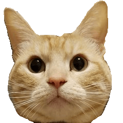 [LINEスタンプ] ねこのぽんたくん日常会話 温泉編