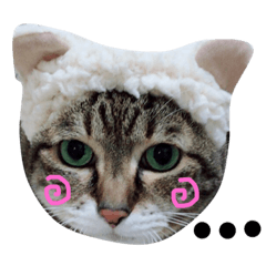 [LINEスタンプ] ぷりきゅー