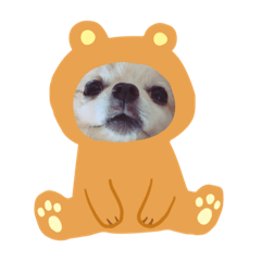 [LINEスタンプ] 使いどころがない犬スタンプ