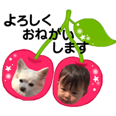 [LINEスタンプ] 日常会話スタンプ！リミちゃん 2