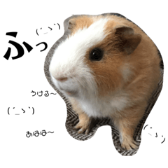 [LINEスタンプ] もふぽん