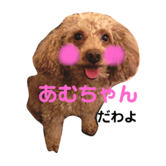 [LINEスタンプ] トイプードルのアムールちゃん