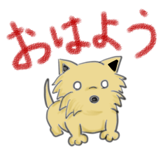 [LINEスタンプ] てぃとぷぅ