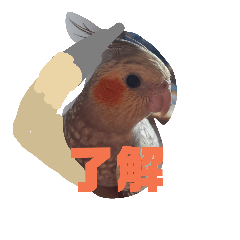 [LINEスタンプ] おかめでーす