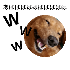 [LINEスタンプ] ダックスフンドあめ子