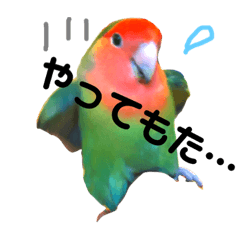 [LINEスタンプ] インコのセセリくん4