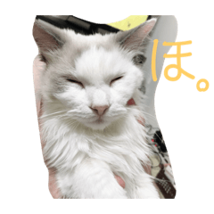 [LINEスタンプ] らんぴ！
