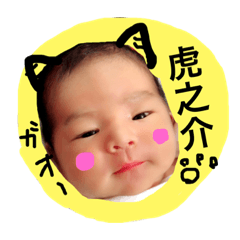 [LINEスタンプ] 虎之介の毎日