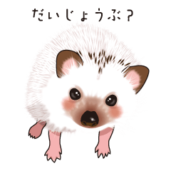 [LINEスタンプ] ハリネズミのシロタくんとクロナちゃん