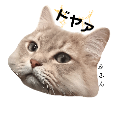 [LINEスタンプ] ポン太のスタンプ3