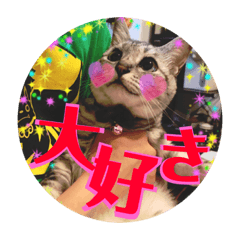 [LINEスタンプ] わたしエリマキです(その2)