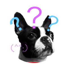 [LINEスタンプ] ボス スタイル ⑴