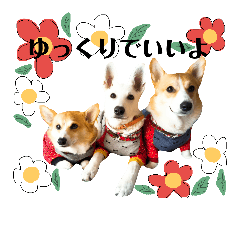 [LINEスタンプ] コーギー＆ホワイトシェパード編その2