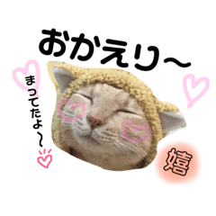 [LINEスタンプ] きなくろ仲良し兄弟