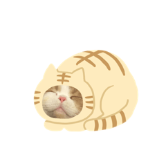 [LINEスタンプ] モチの返事