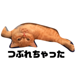[LINEスタンプ] ミヌエットのロイチー