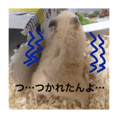 [LINEスタンプ] 我が家の仲間達