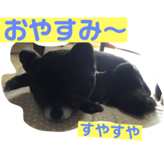 [LINEスタンプ] 黒ポメ  のあ
