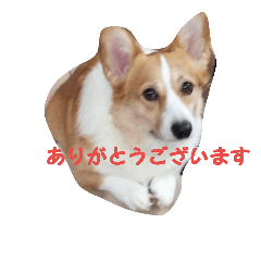 [LINEスタンプ] ロルとリッカ