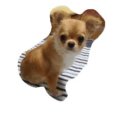[LINEスタンプ] 愛犬犬