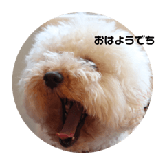 [LINEスタンプ] バニバニクーたん