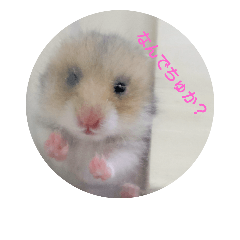 [LINEスタンプ] ロノアのぼるんfamily