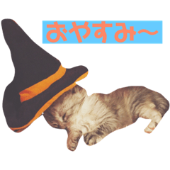 [LINEスタンプ] サスキラすたんぷ