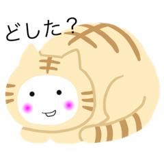 [LINEスタンプ] ミケにゃんこ