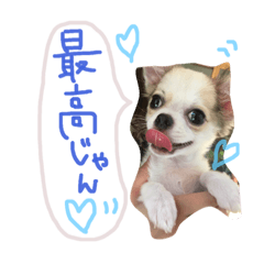 [LINEスタンプ] Cielじゃん♡！