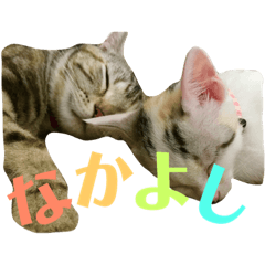 [LINEスタンプ] ルナ＆うり part1
