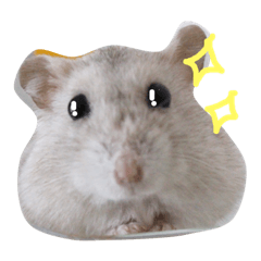 [LINEスタンプ] はむ☆はな 1