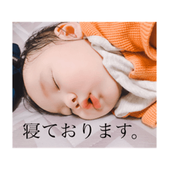 [LINEスタンプ] すがわらさんちの子供たち