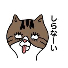 [LINEスタンプ] きじとらにゃんこ