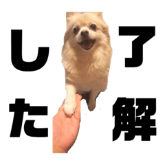 [LINEスタンプ] ひめちゃんひめちゃん