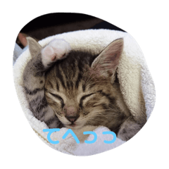 [LINEスタンプ] ぶううう1