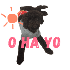 [LINEスタンプ] ビスケくん