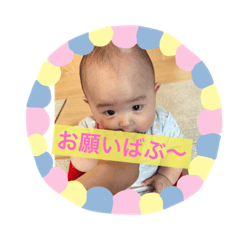[LINEスタンプ] 麗しのかいくん