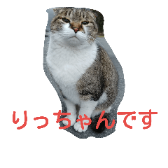 [LINEスタンプ] りっちゃんのお部屋