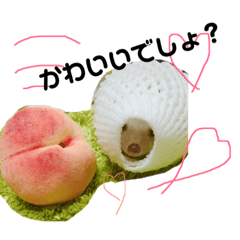 [LINEスタンプ] ハリネズミのたわしさん