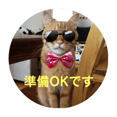 [LINEスタンプ] 茶色の毎日