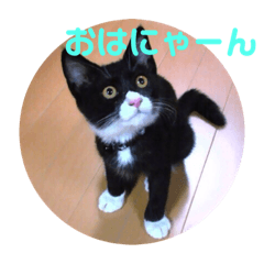 [LINEスタンプ] らくちん 大好き