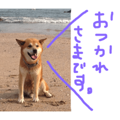 [LINEスタンプ] キンタとミミ