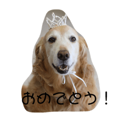 [LINEスタンプ] メラアヤ#1