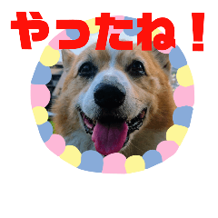 [LINEスタンプ] コータのスタンプ2