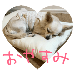 [LINEスタンプ] わだ