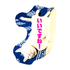 [LINEスタンプ] ださかわいい 池田しろ